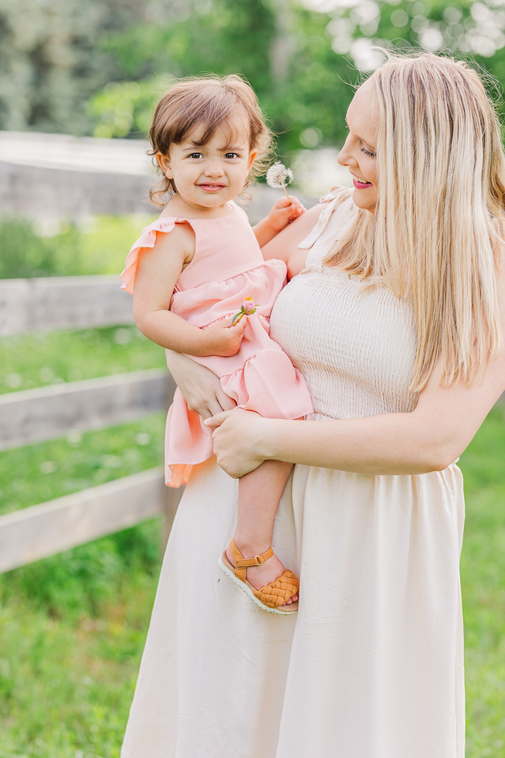 A baby girl in a pink dress sits in mom's arms holding a dandelion before visiting ann arbor kid friendly restaurants